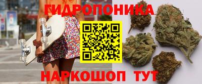 СК Севастополь