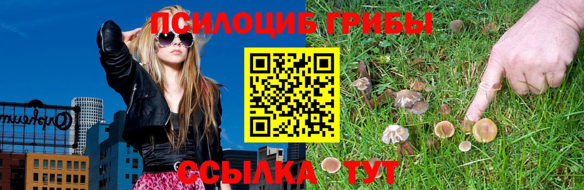 Галлюциногенные грибы Psilocybine cubensis Мытищи